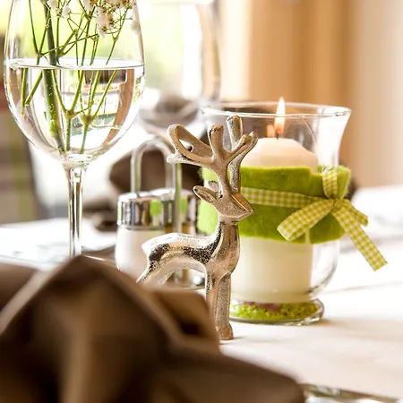 Hotel Wohlfuehlhotel Berg Heil